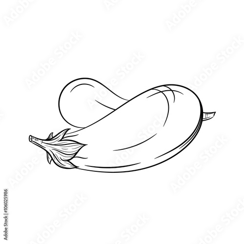 Hand drawn eggplant sketches on white background