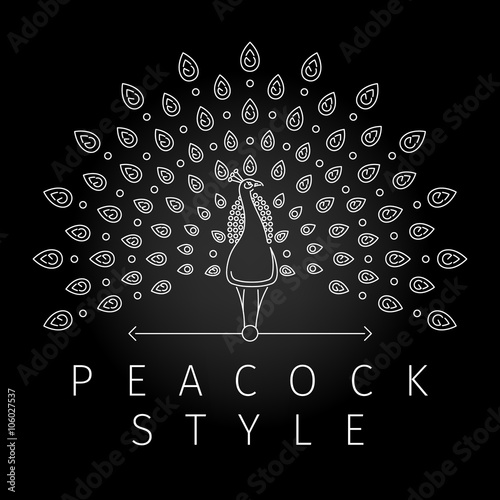 Thin line peacock logo. Outline peacock label with luxurious peacock tail feathers in modern line style. Vector illustration