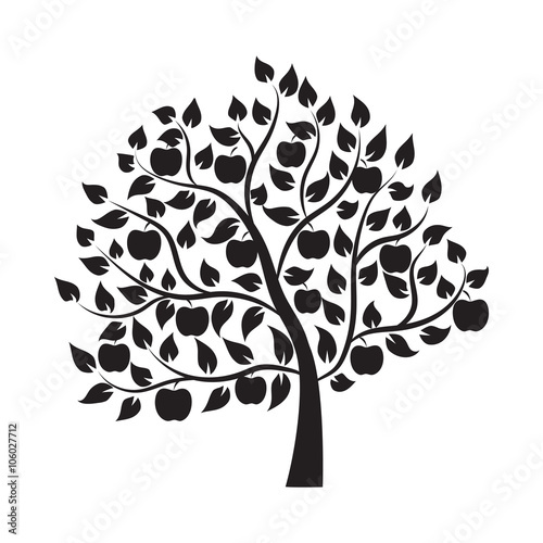 Apple tree - Illustration
