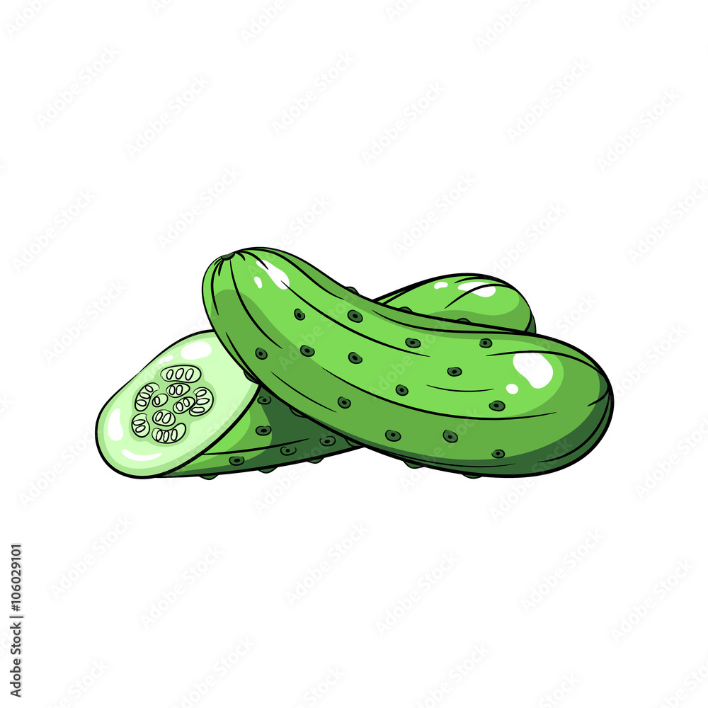 Vector cucumber illustration on white background Vector cucumber illustration on white background