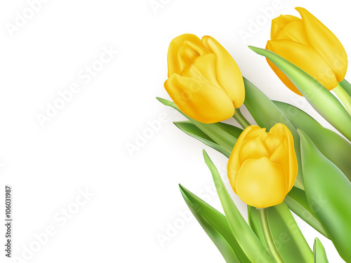 Yellow Tulips Flowers. EPS 10