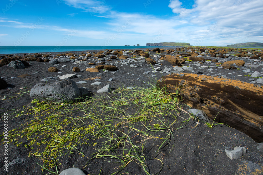 Dyrholaey Beach and Cliffs, Iceland