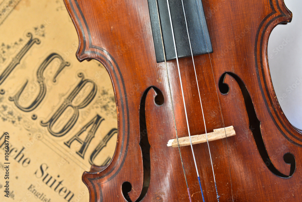 German ancient violin and notes. German ancient violin and notes.