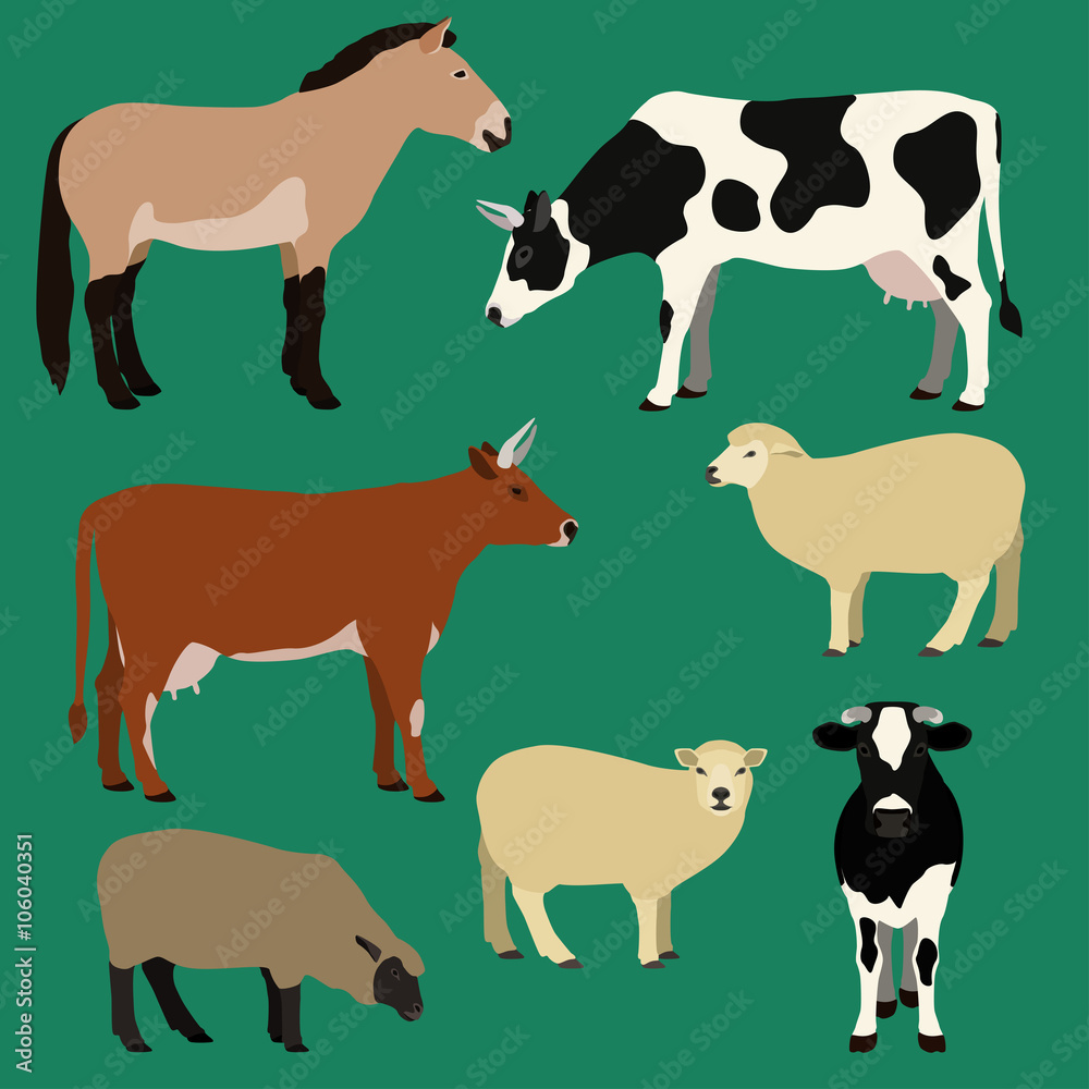 Farm animals vector set. Different cows, sheeps, horse illustration.