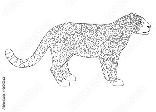 Jaguar vector illustration for coloring page.