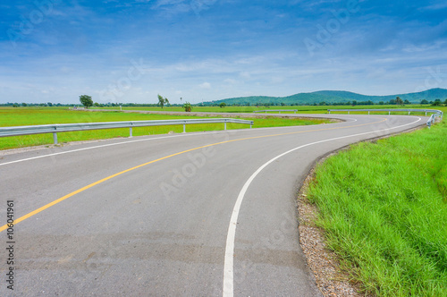 Curvy Road Of Fresh Green in country town