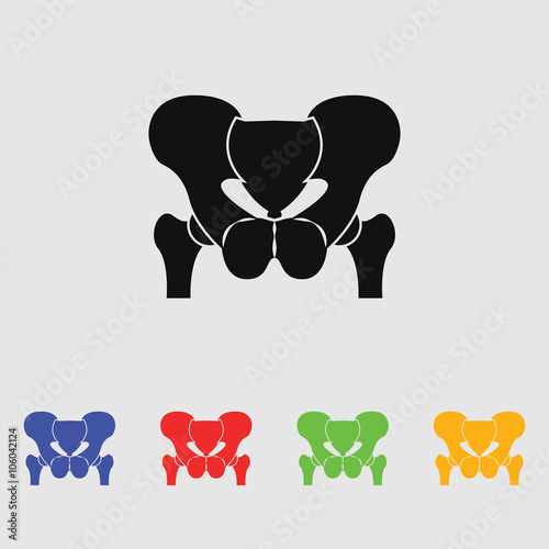 Anatomy Pelvis. Icon