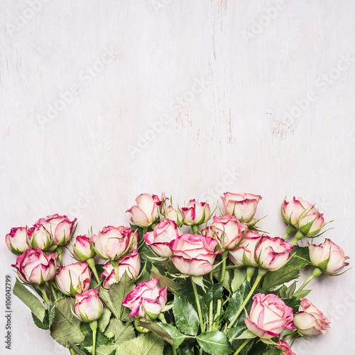 Fototapeta Naklejka Na Ścianę i Meble -  beautiful fresh spring shrub roses girl gift border ,place for text  on wooden rustic background top view