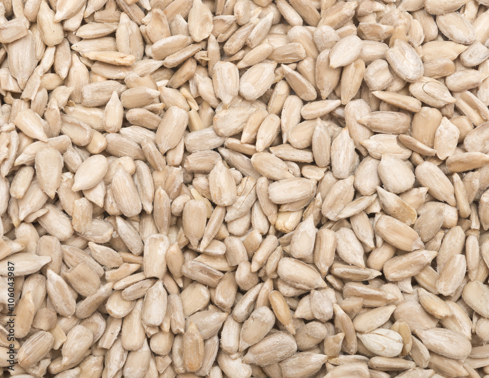 sunflower seed background sunflower seed background