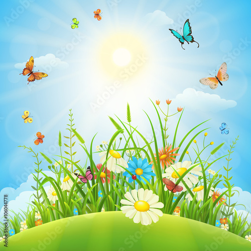 Summer or spring meadow landscape with flowers, grass and butterflies