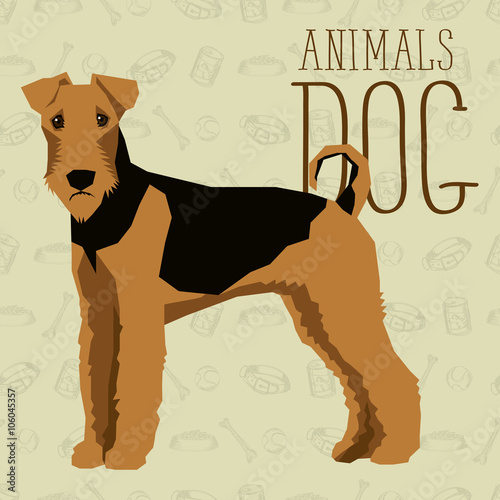 Vector Dogs Collection