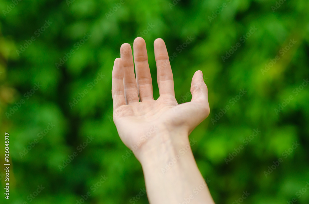 Spring and nature theme: man's hand showing gesture on a background of green grass in the spring, first-person view Spring and nature theme: man's hand showing gesture on a background of green grass in the spring, first-person view