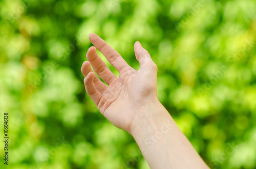 Spring and nature theme: man's hand showing gesture on a background of green grass in the spring, first-person view © Parad St