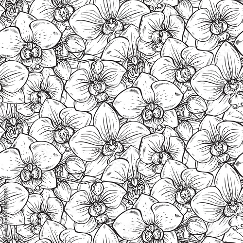 Floral seamless pattern with hand drawn orchid flowers