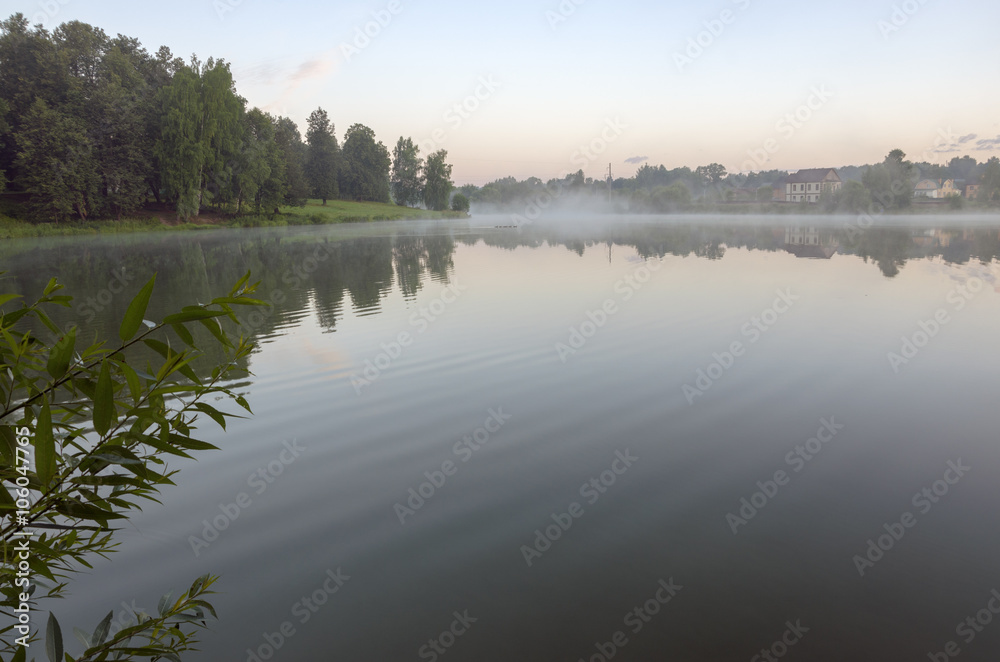 Summer scene Summer scene