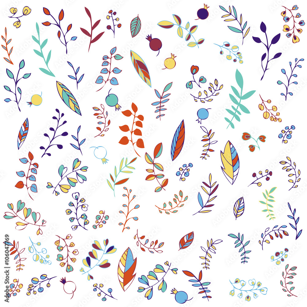 vector set of plants, leaves and berries