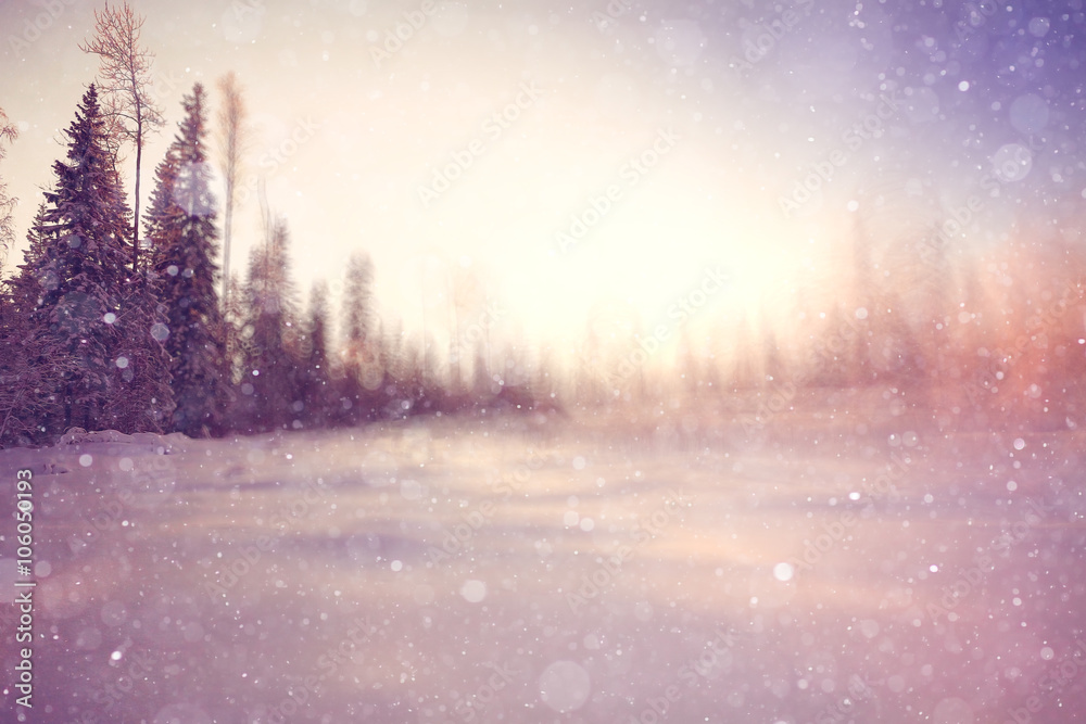 winter background blur forest snowflakes bokeh winter background blur forest snowflakes bokeh