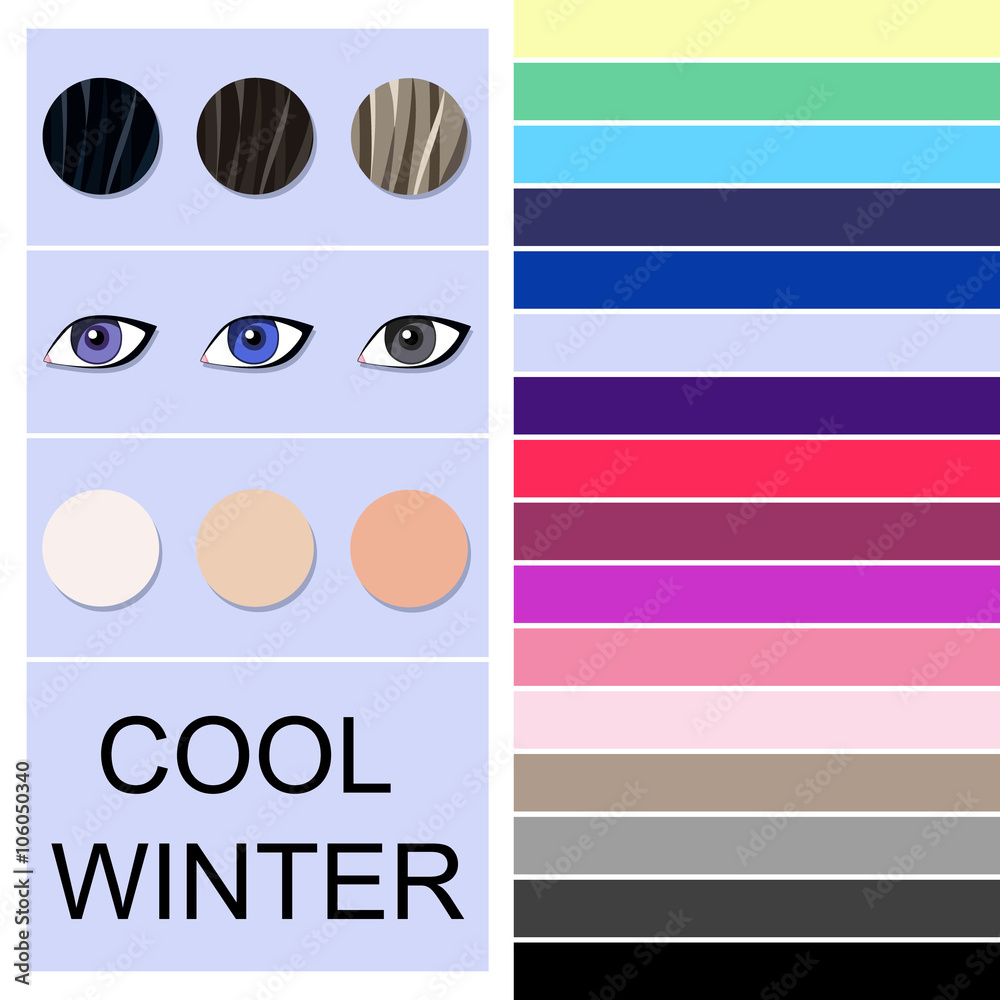Vetor de Stock vector seasonal color analysis palette for cool