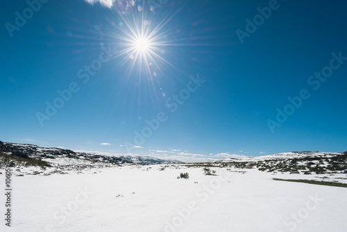 Winter landscape in a sunny day © elenaburn