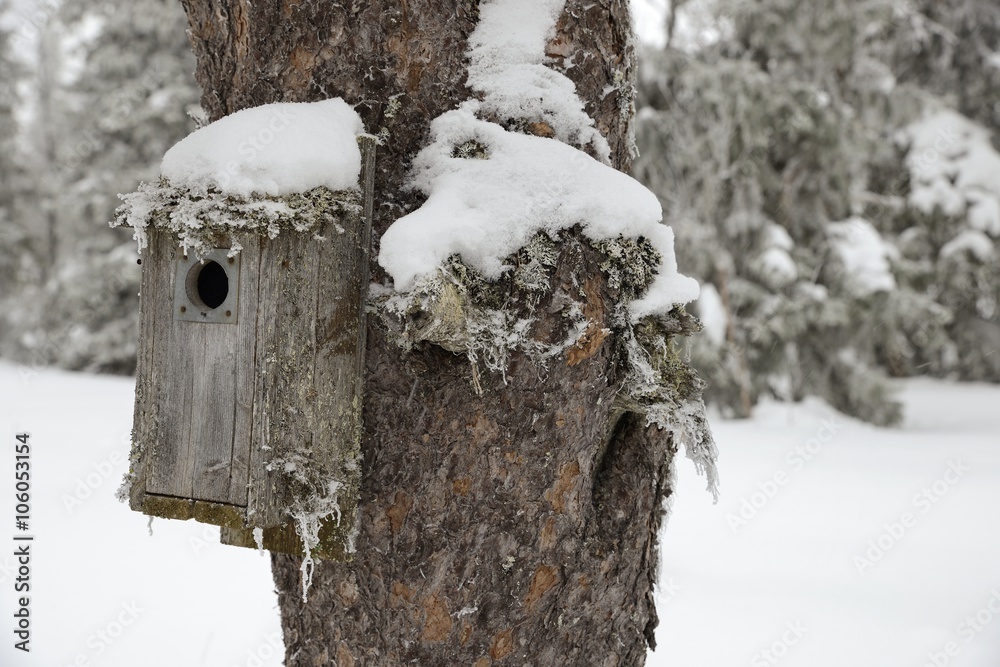 Birdhouse with Snow Birdhouse with Snow