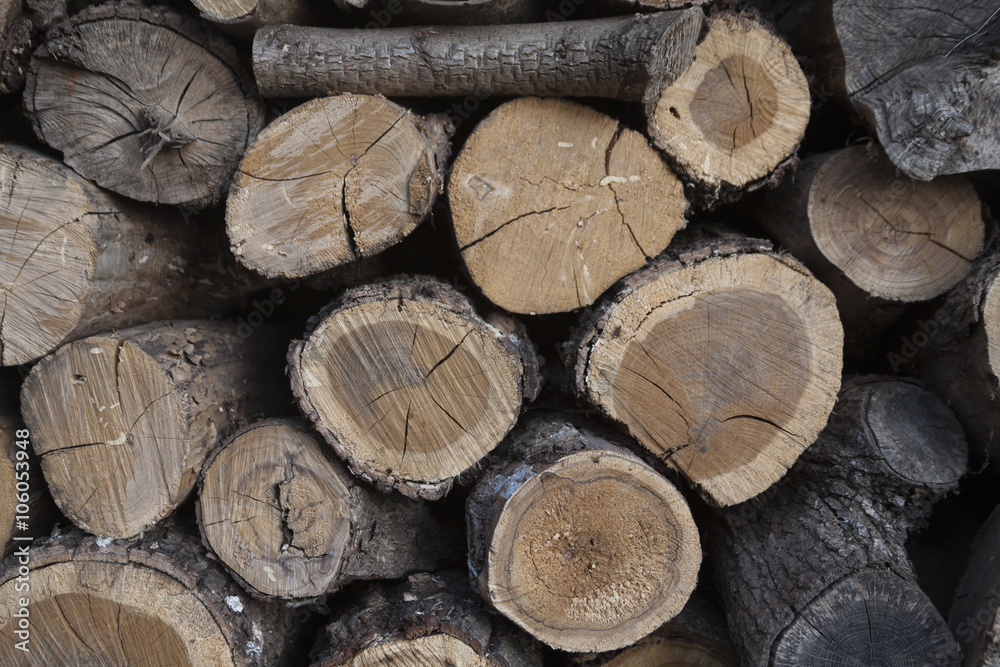 wood in the woodshed