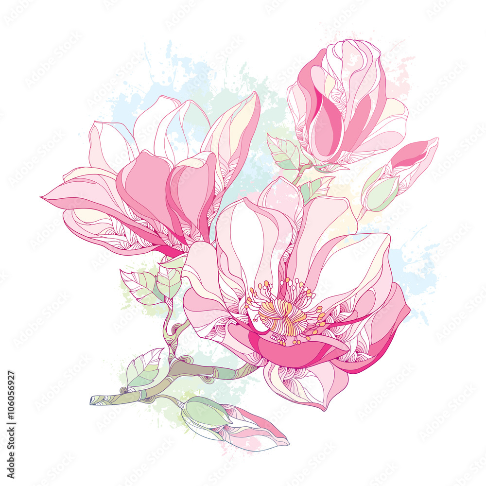 Naklejka premium Stem with ornate magnolia flower and buds in pink isolated on white background with blots in pastel color. Floral elements in contour style.