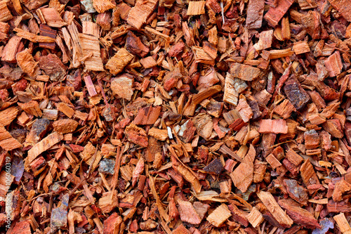 the texture of the crushed oak bark. vegetable raw materials for preparation of tea beverages, medicinal product. alternative medicine