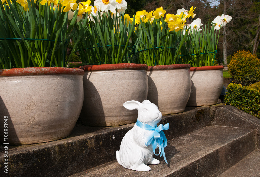 Garden Ornament ceramic Easter Bunny, with Blue ribbon decoration.  Spring time in Victoria, Canada