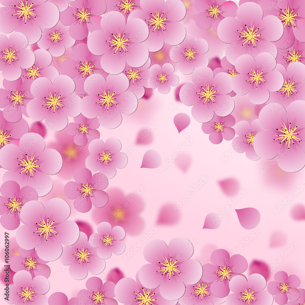 sakura flowers vector background