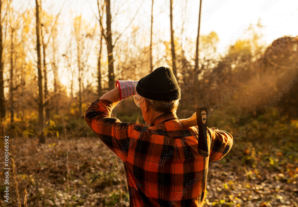 Naklejka premium Rear view of senior lumberjack in nature holding an axe on his shoulder and looking at distance.