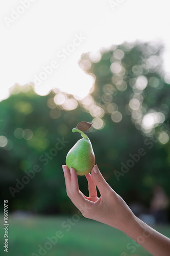 Female hand holding pear