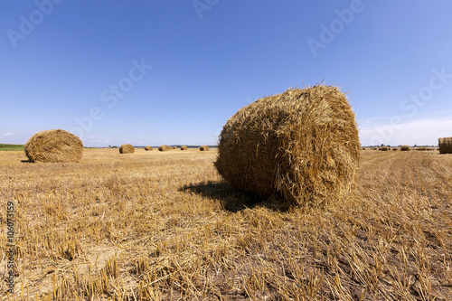 Stack of straw 