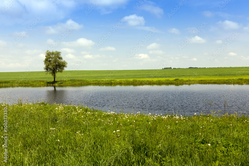 Fototapeta premium small lake, spring 