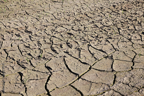 cracked earth close up 