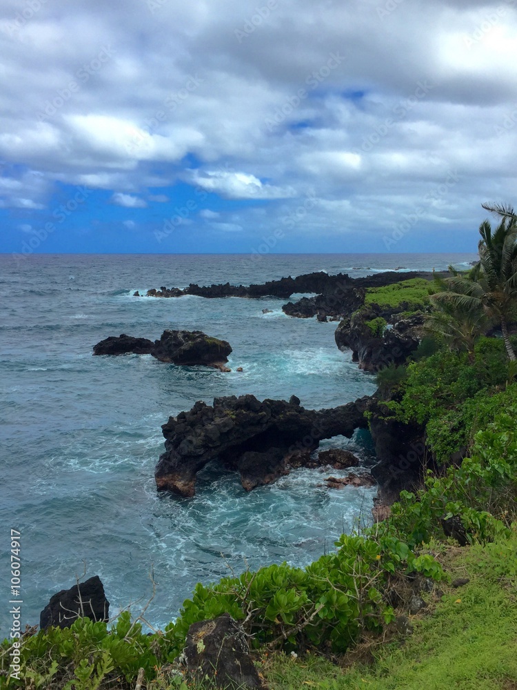 landscape in Maui, Hawaii