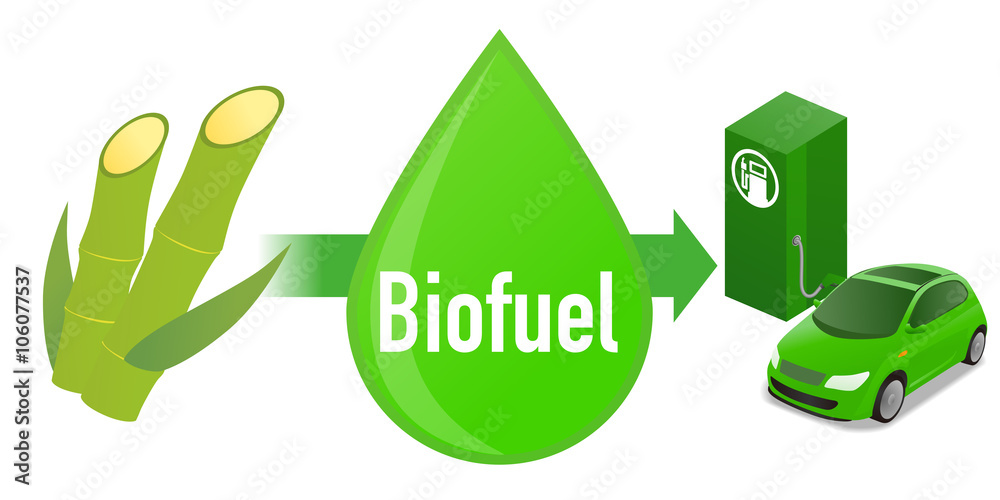 Biofuel: Biomass ethanol, made form Sugarcane, diagram illustration
