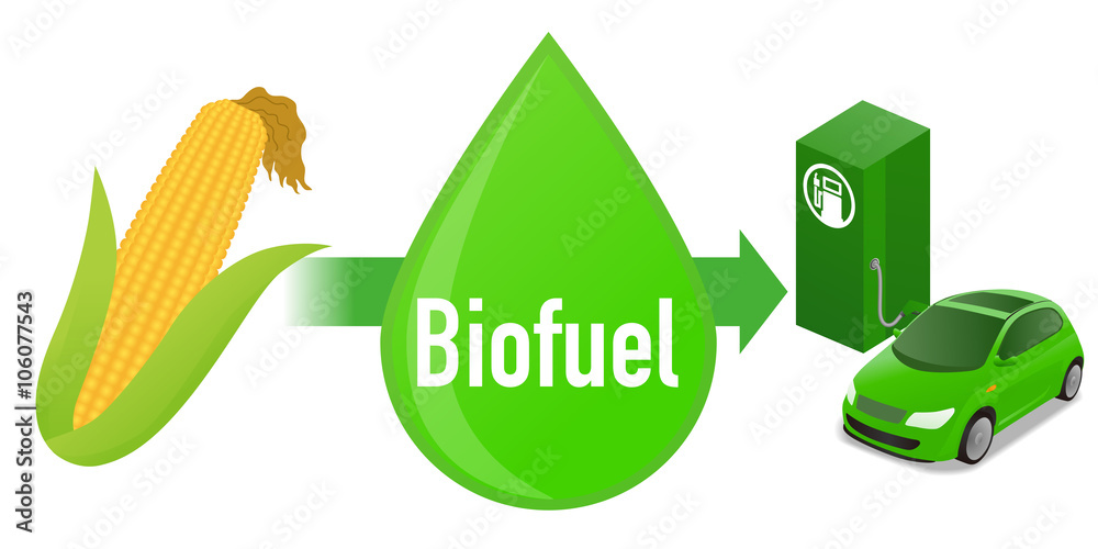 Biofuel: Biomass ethanol, made form corn, diagram illustration Stock ...