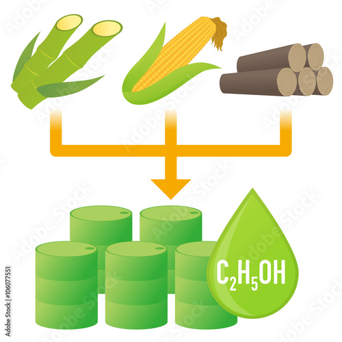 Biofuel: Biomass ethanol, made form Sugar, Starch, Cellulose,  diagram illustration