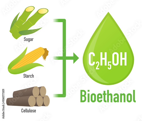 Biofuel: Biomass ethanol, made form Sugar, Starch, Cellulose,  diagram illustration