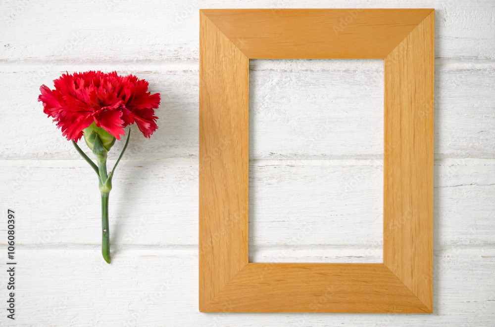 Red Carnation flower with wooden frame Red Carnation flower with wooden frame