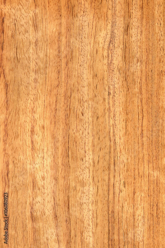 timber grain of African Bubinga, Guibourtia demeusei, 