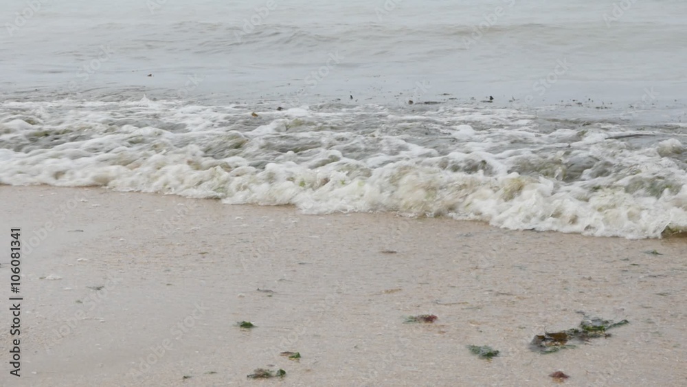 Slow motion of waves on the beach with algae mixed with water 1080p FullHD video - Waves mixing water sand and algae on ocean beach 1920X1080 HD footage Slow motion of waves on the beach with algae mixed with water 1080p FullHD video - Waves mixing water sand and algae on ocean beach 1920X1080 HD footage