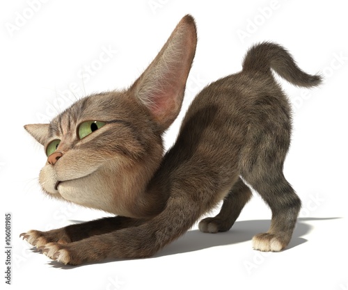 Fototapeta Naklejka Na Ścianę i Meble -  Kitten stretches against white background
