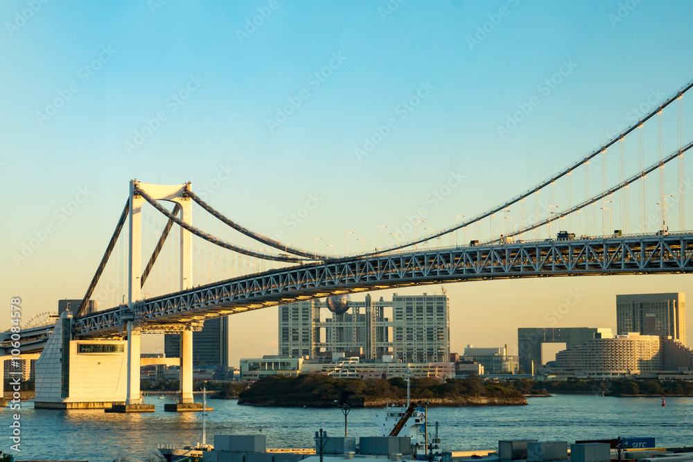 Fototapeta premium View of tokyo, Japan cityscape