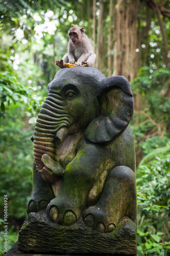 Balinese long-tailed monkey sitting on the statue with banana in Monkey Forest Sanctuary, Ubud, Bali, Indonesia