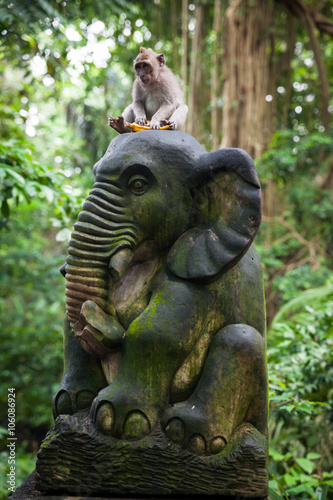 Balinese long-tailed monkey sitting on the statue with banana in Monkey Forest Sanctuary, Ubud, Bali, Indonesia