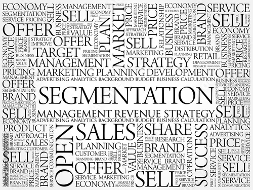 Segmentation word cloud, business concept background