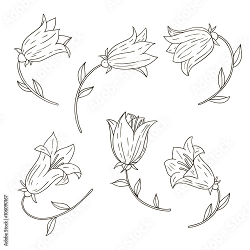 vector set of bell flowers