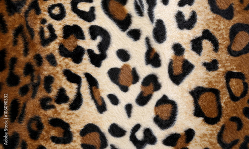 leopard muster