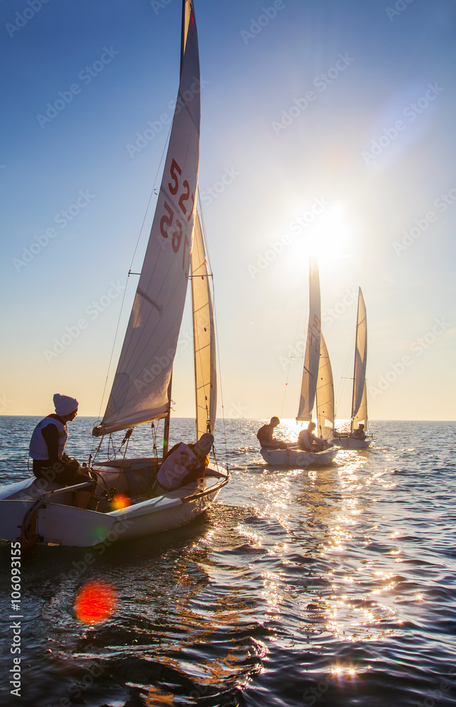 sailing regatta